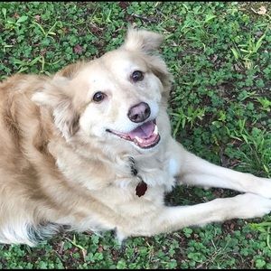 Meet your Posher, Marie